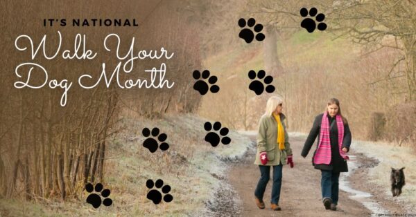 It’s National Walk Your Dog Month